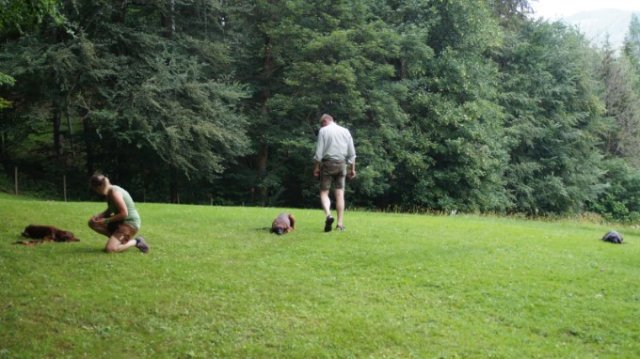 Hundeausbildung 
